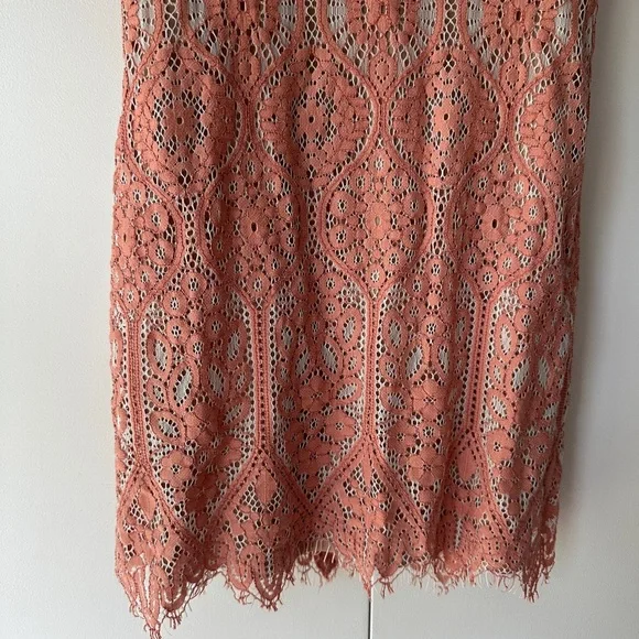 Express Pink Lace Bodycon Mini Dress - Picture 4 of 9